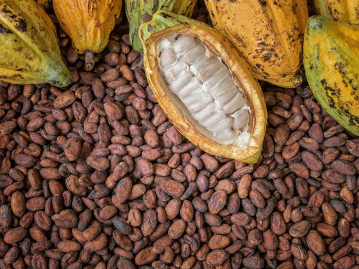 $15million Cocoa City Project in Cross River State