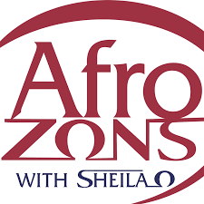 US-based Show, AfroZons Premieres in Nigeria