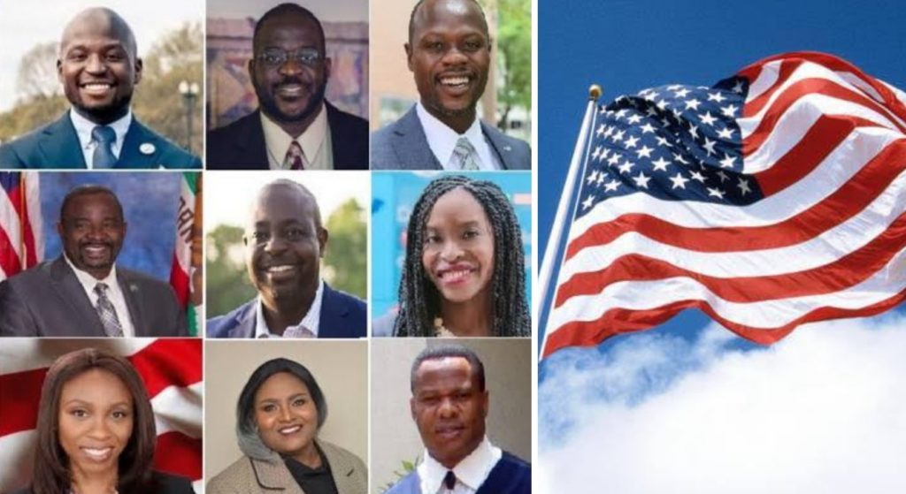 Meet the Nine Nigerians who Contested in the November 2020 United States Election 