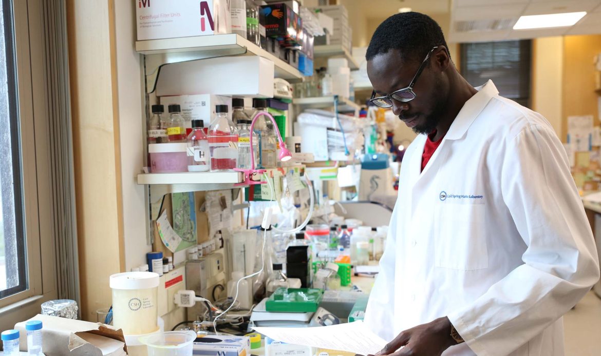 Cell Biologist, Tobiloba Oni Is Gaining Global Recognition for his Research on Cancer