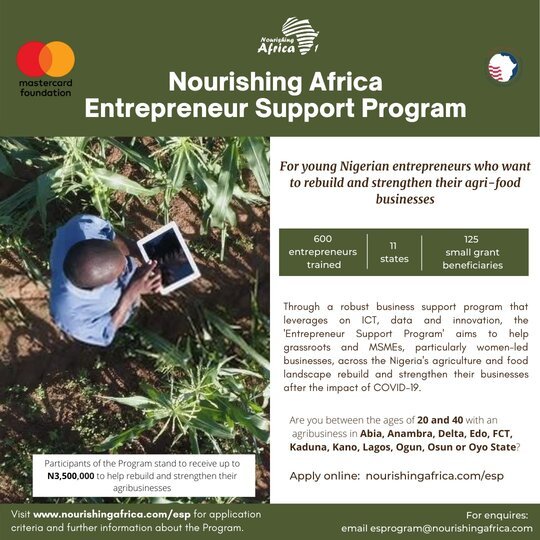 The Nourishing Africa Entrepreneur Support Program 2021 for young Nigerian Entrepreneurs