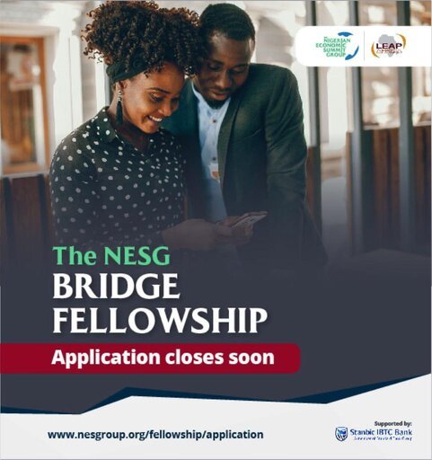 The Nigerian Economic Summit Group (NESG) Bridge Fellowship Program