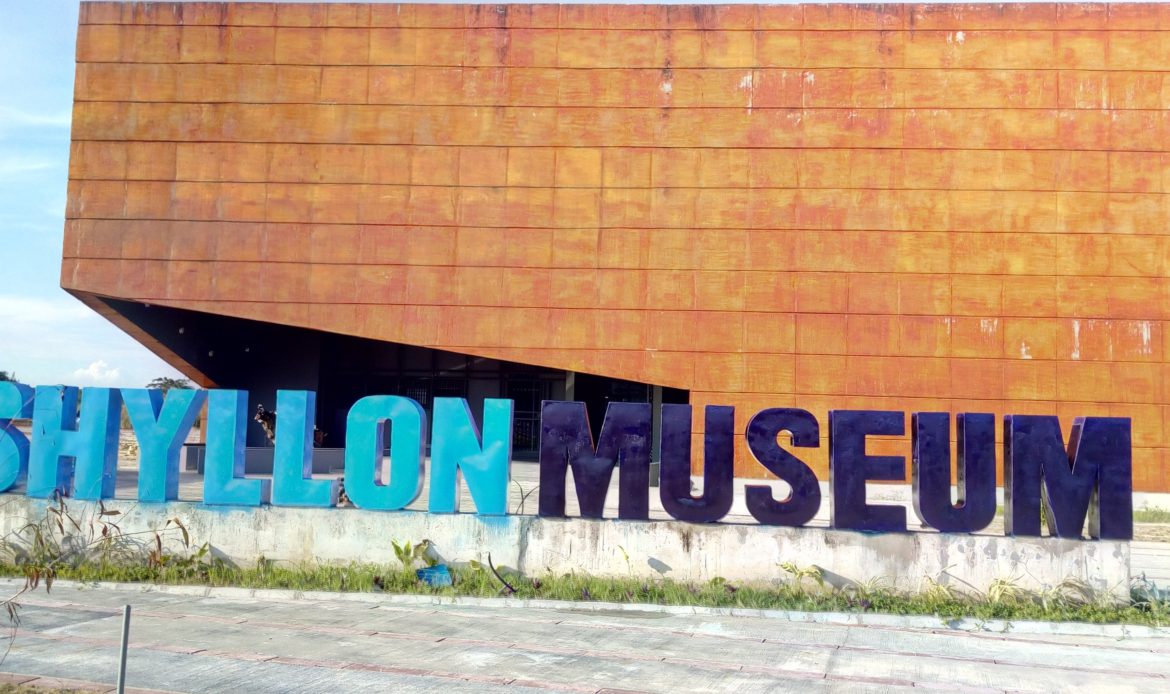 The Yemisi Shyllon Museum of Art 