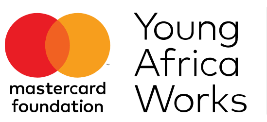 Young Africa Works – Transforming Nigerian Youths Program