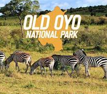 The Old Oyo National Park