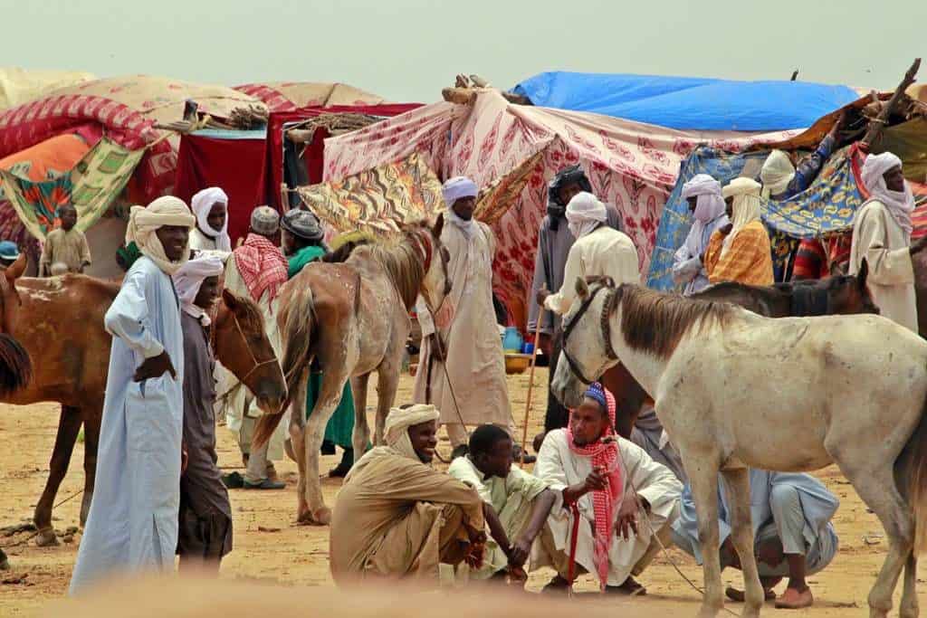 The Beauty of the Gerewol Festival