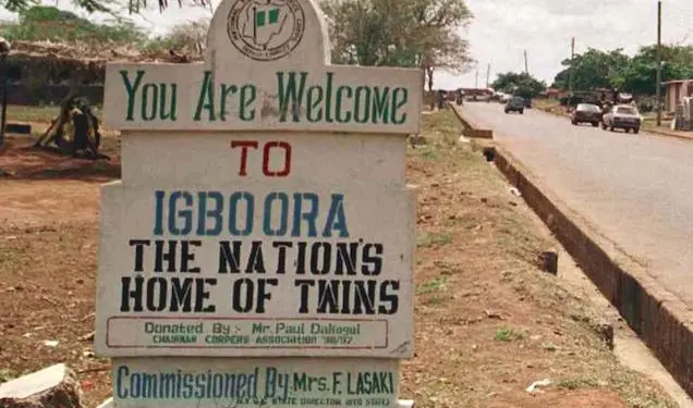 Oyo State to Set Guinness World Record as Igboora Hosts 2024 World Twins Festival