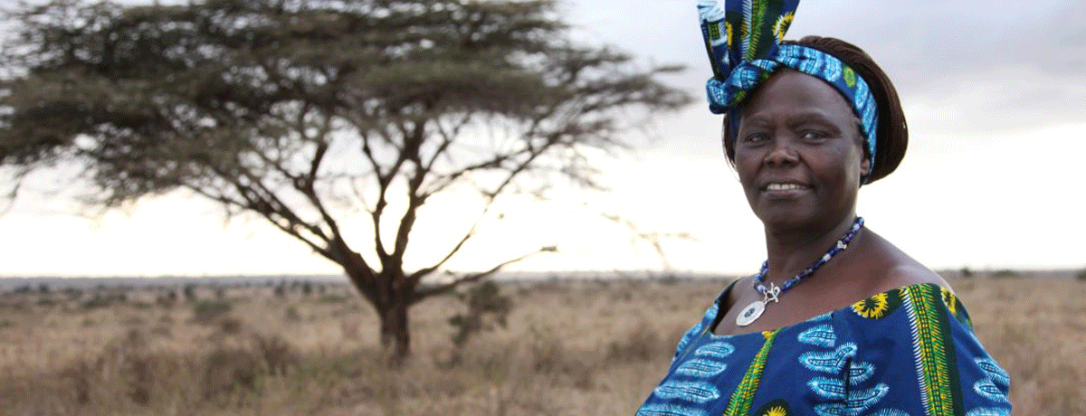 Wangari Maathai - The First African Woman to Win the Nobel Peace Prize