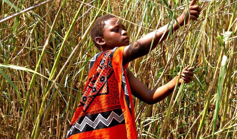 Did You Know About Eswatini’s Umhlanga Reed Dance?