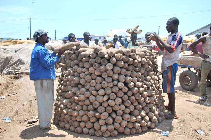 From Yam to Song: The Igede Agba Festival Story