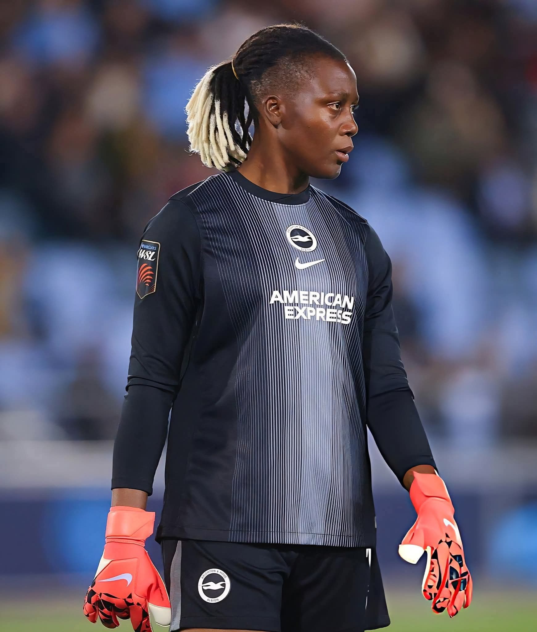 Nigerians Abroad: A Weekend of Goals, Glory, and Golden Moments 