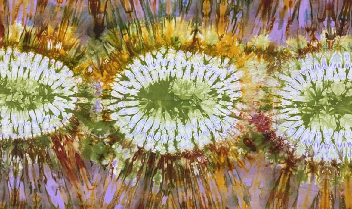 10 African Fabrics You've (Probably) Not Heard Off