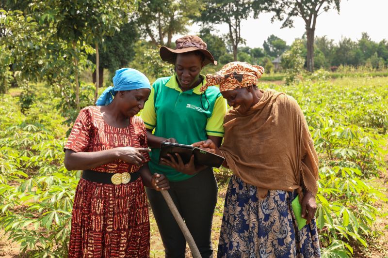 Tanzania’s LimaBot Is Using AI to Help Farmers Grow Smarter