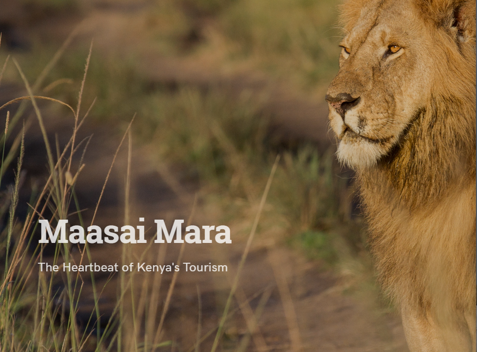 Top East Africa Countries to Visit in 2026