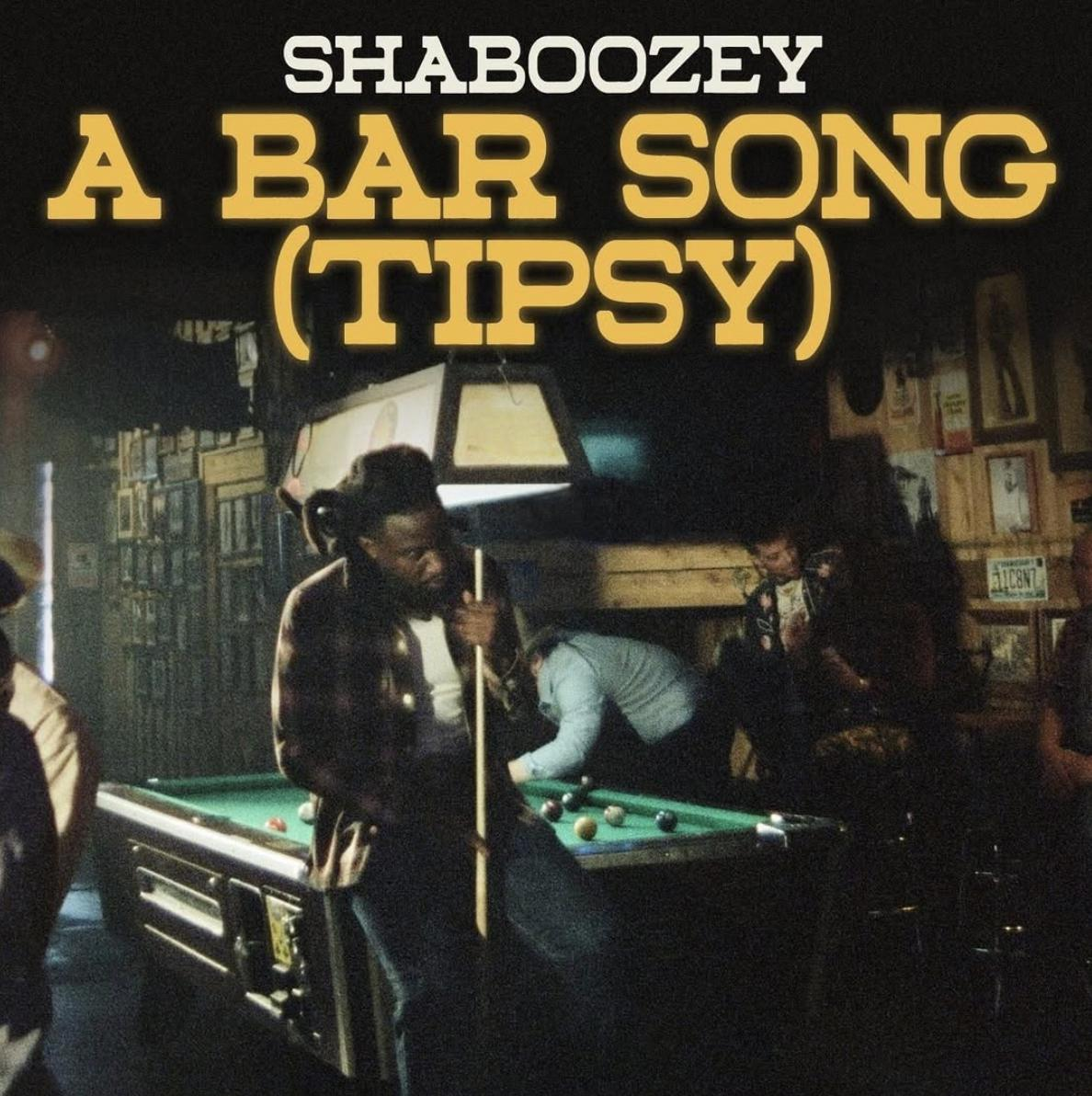 What Do You Know About Shaboozey?