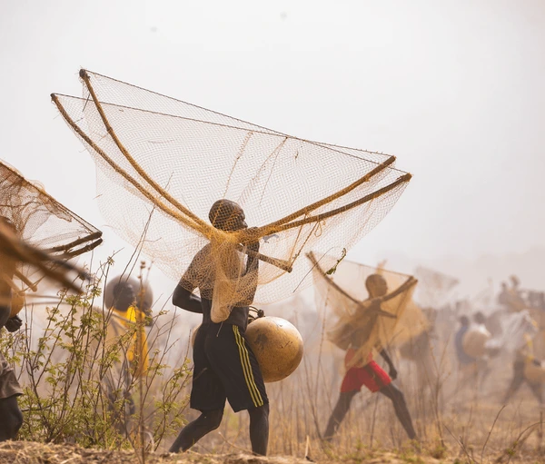 What Do You Really Know About the Argungu Fishing Festival?
