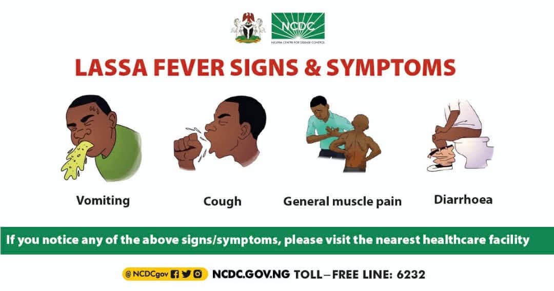 Lassa Fever: What Health Experts Want You to Know