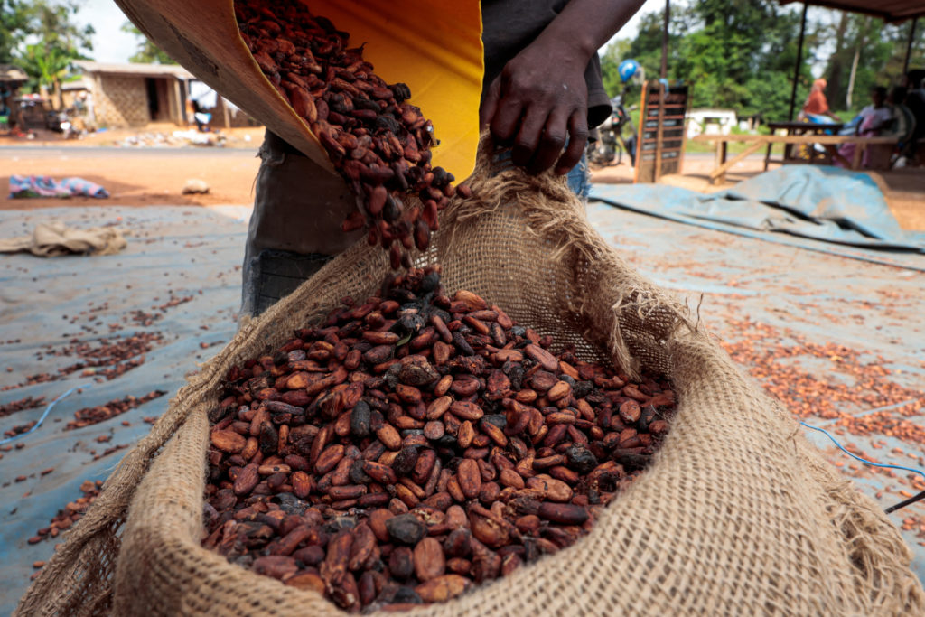 Did You Know Côte d’Ivoire Produces the Most Cocoa in the World?