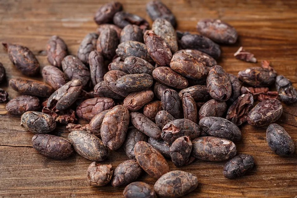 Did You Know Côte d’Ivoire Produces the Most Cocoa in the World?