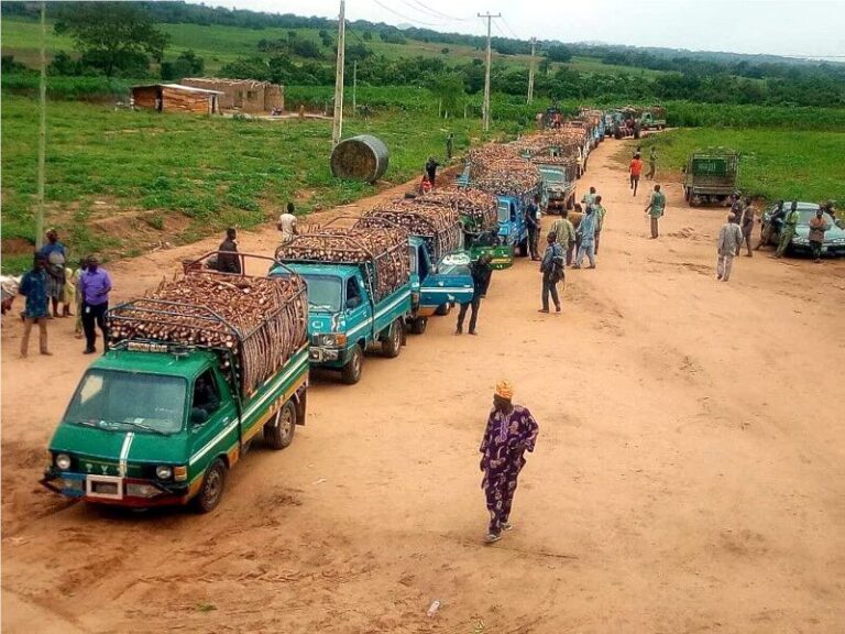 Meet Yemisi Iranloye, the Woman Turning Cassava Into Big Business in Nigeria