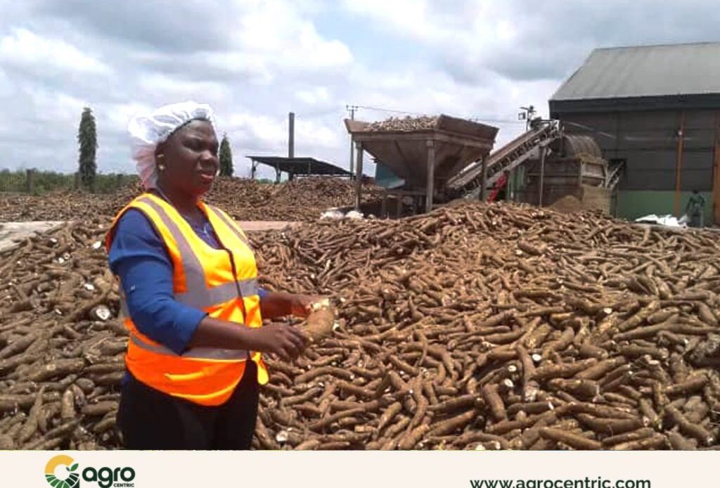 Meet Yemisi Iranloye, the Woman Turning Cassava Into Big Business in Nigeria