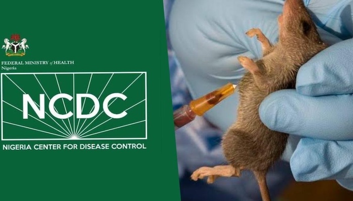 Lassa Fever: What Health Experts Want You to Know