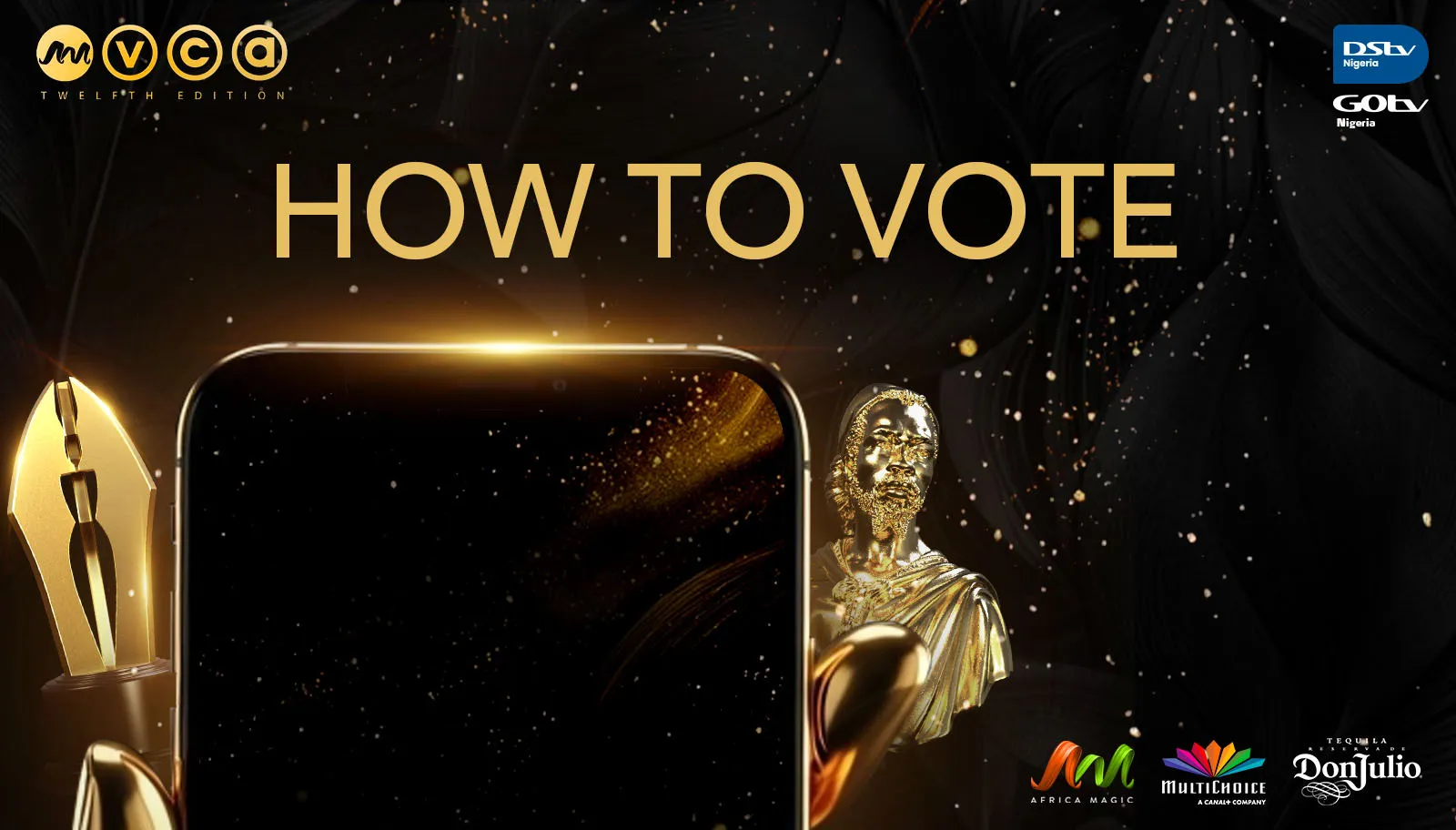 Everything You Need to Know About the 12th AMVCA Nominations