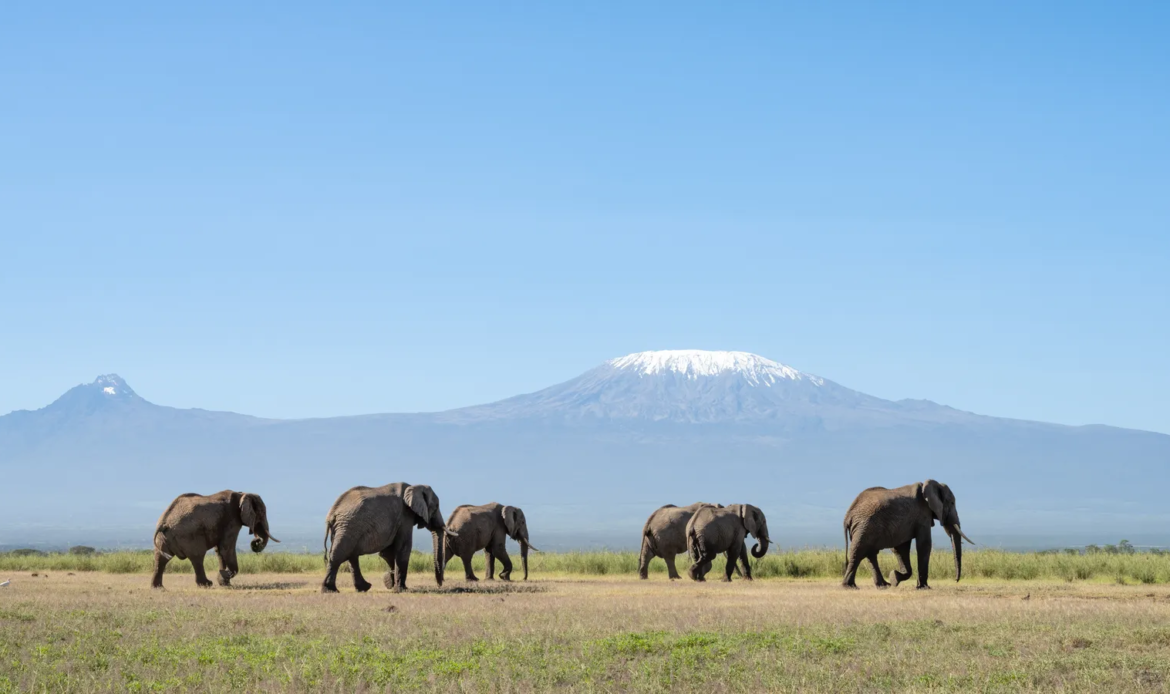 Kenya: The Friendliest African Country