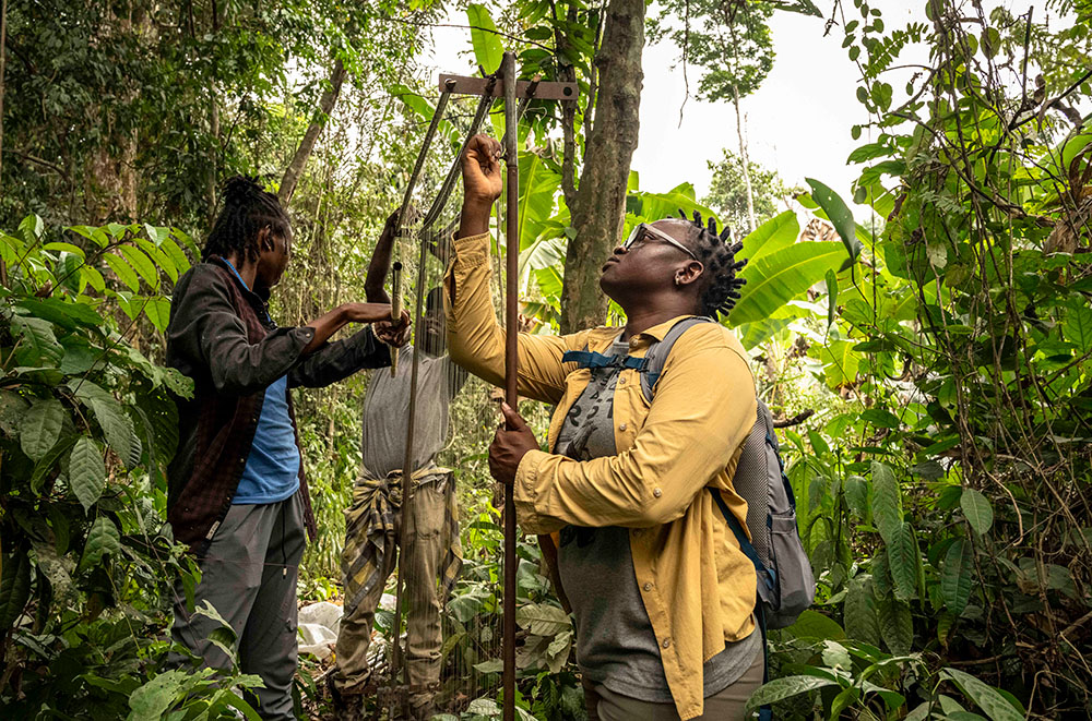 Nigeria’s Iroro Tanshi Bags 2026 Goldman Environmental Prize