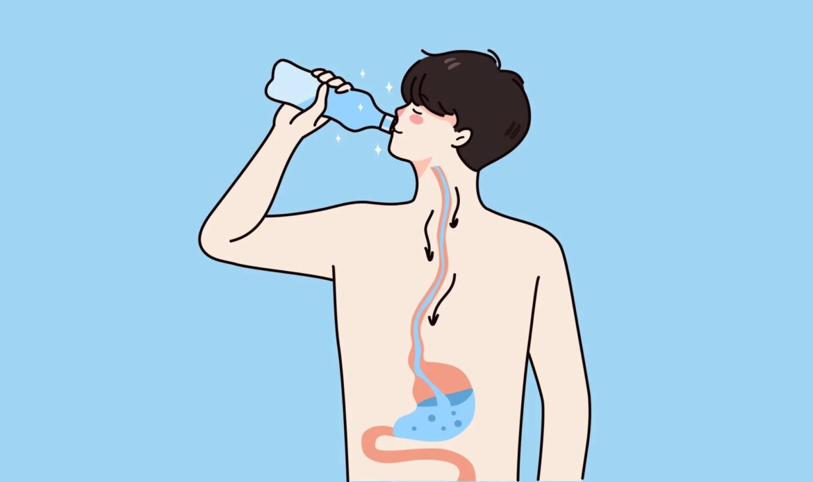 Why You Should Drink Water in the Morning