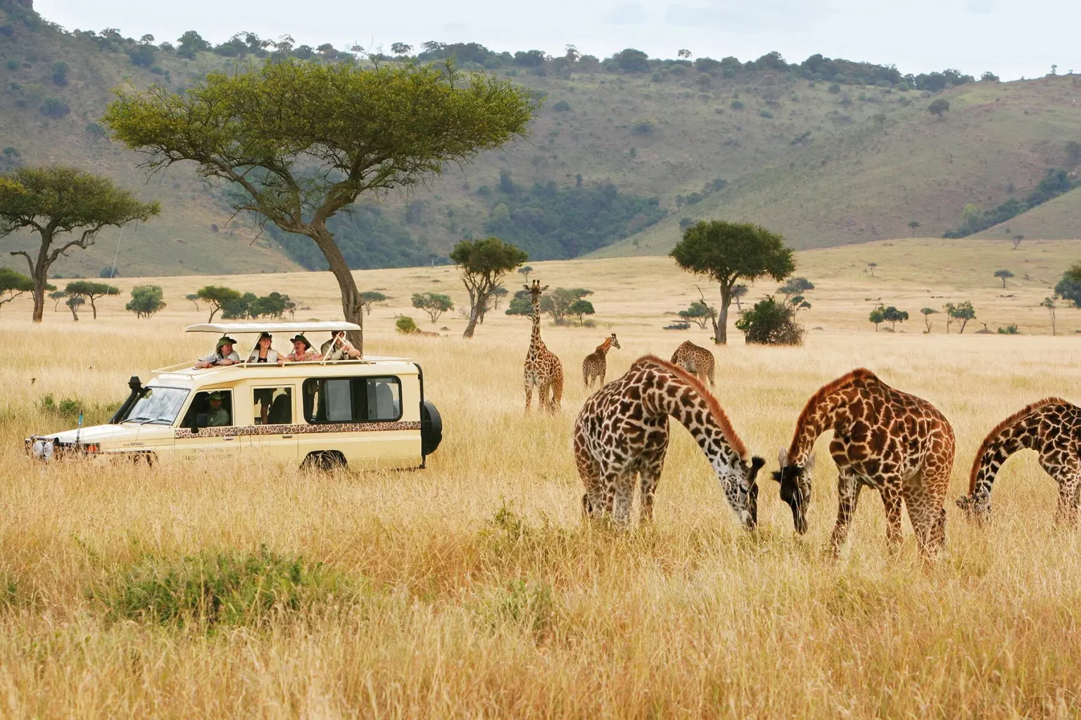 5 Most Visited Countries in Africa And Why The World Keeps Coming Back