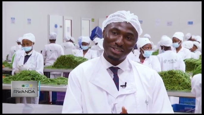 Why Seun Rasheed Chose Rwanda to Build a Thriving Agribusiness